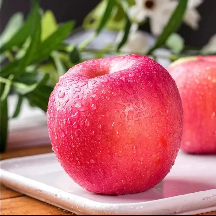 产地直发甘肃秦安红富士苹果助农当季脆甜多汁新鲜水果