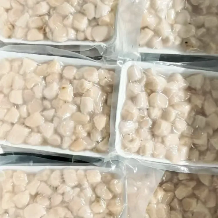 鲜渔侠鲜食120头左右扇贝丁