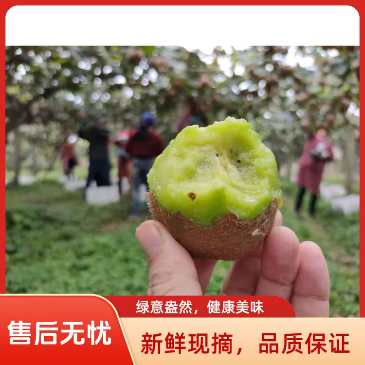 陕西绿心猕猴桃新鲜应季水果软糯多汁香甜可口维C丰富