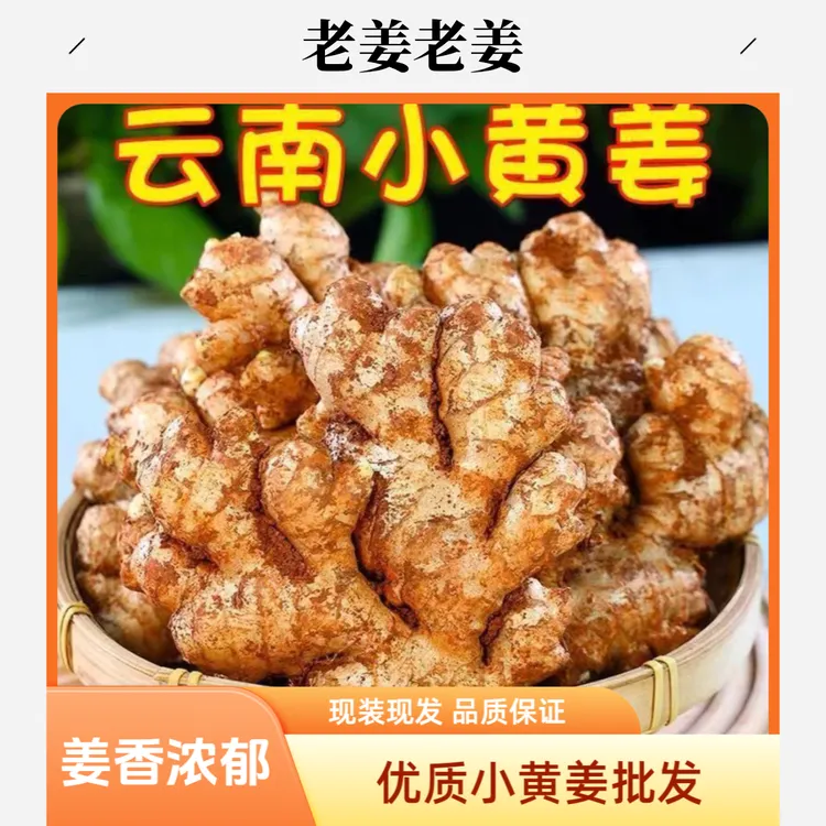 正宗云南小黄姜新鲜辛辣生姜一年半老姜月子姜生姜批发1/3/5/9斤