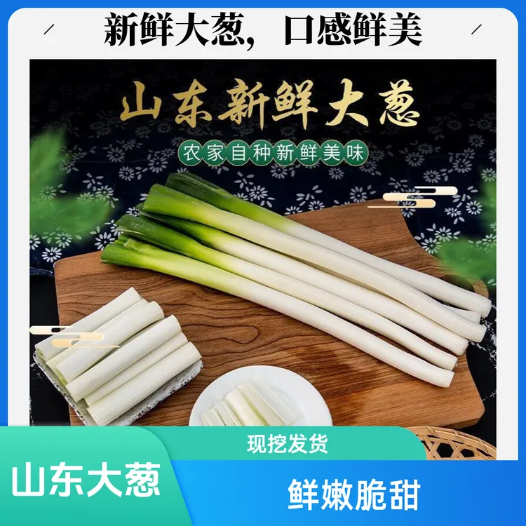 山东大葱寿光大葱现挖现发半叶带根