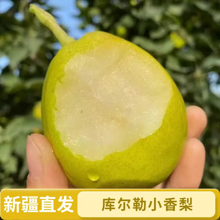 【新疆发货】新疆库尔勒小香梨多汁水果5-9斤包邮新鲜爽口香甜