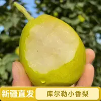 【新疆发货】新疆库尔勒小香梨多汁水果5-8斤包邮新鲜爽口香甜顺丰