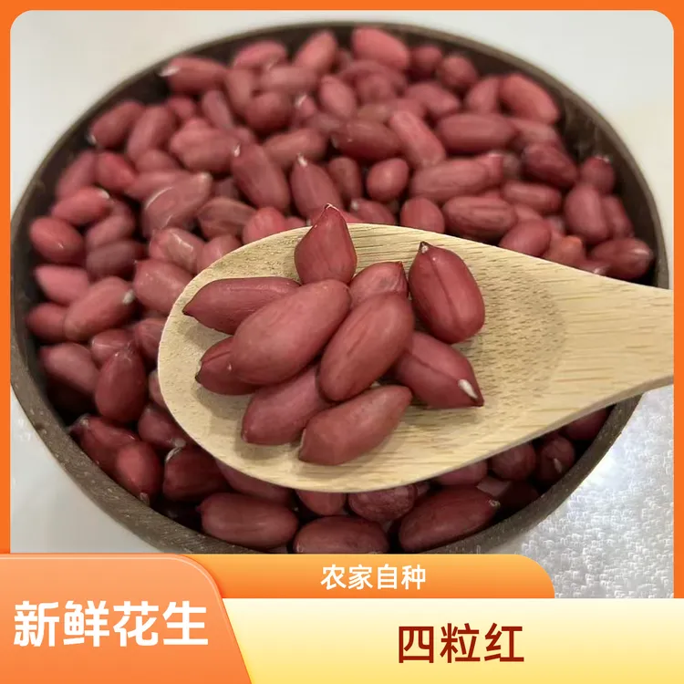 农家自种精选新鲜红皮花生米四粒红去壳颗粒饱满紧急口感香甜清脆