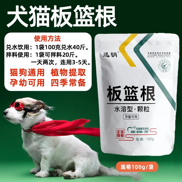 板蓝根颗粒犬猫四季常备