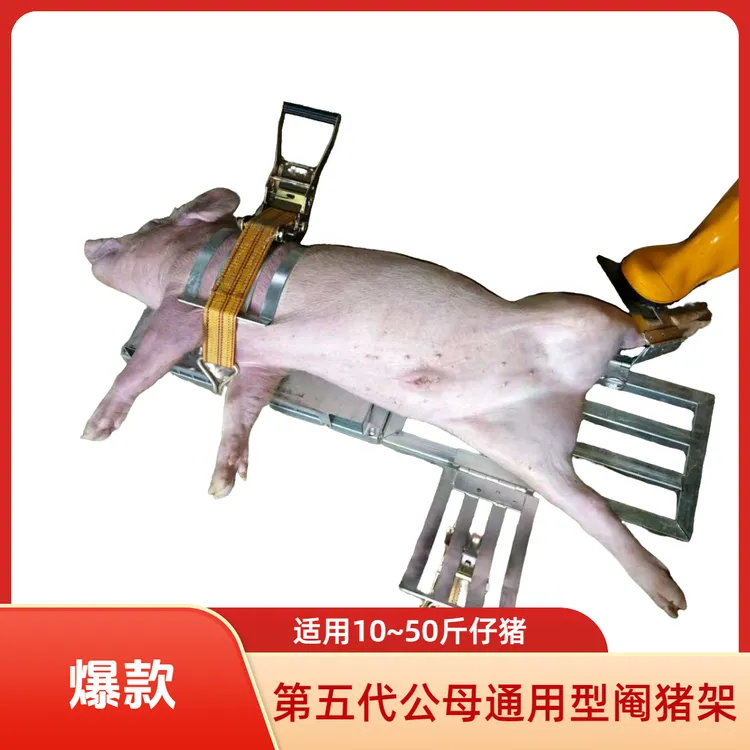 坐地式左撇子阉猪架双挂钩阉母猪折叠式阉猪架仔猪固定阉公猪固定