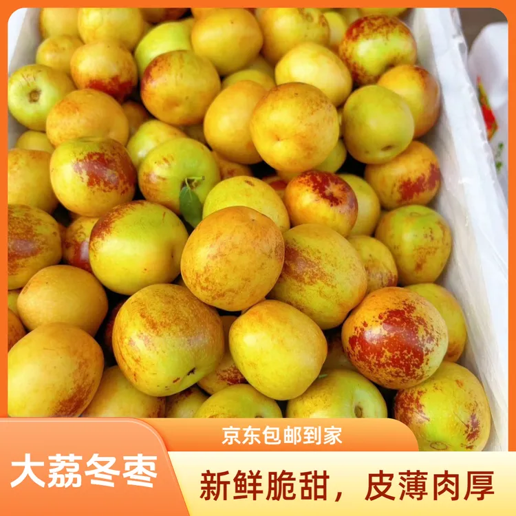 陕西大荔冬枣新鲜应季水果皮薄肉脆 京东包邮