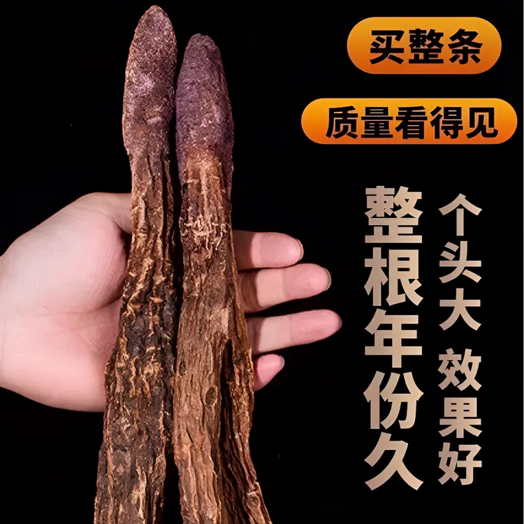 金锁阳阿拉善金锁阳整根大根金锁阳切片金锁阳中药材正品锁阳个姜