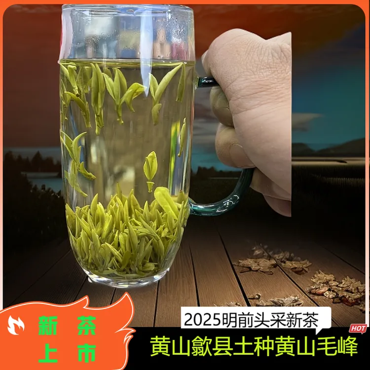 （A1）2025明前头采肥芽兰花香黄山歙县土品种毛峰炭火烘制春季绿茶