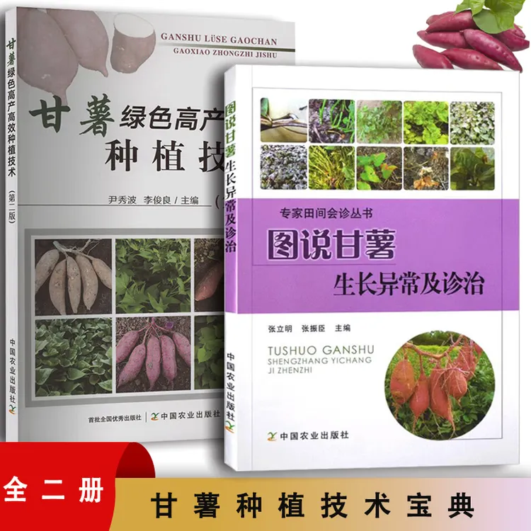 图说甘薯生长异常及诊治+甘薯绿色高产高效种植技术 紫薯芋头栽培