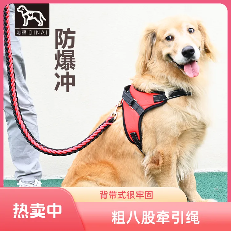 狗牵引绳背带式金毛中型大型犬狗链子加粗狗狗遛狗绳子狗绳胸背带