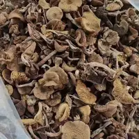 【阿梓代卖】榛蘑干货可炖鸡炒菜