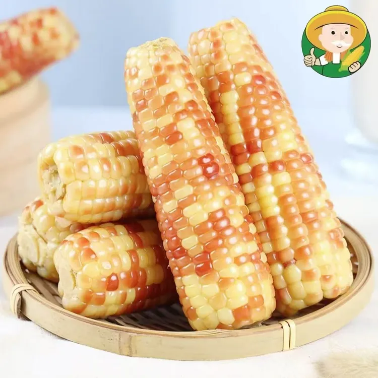 【小农人花背箩】云南香糯小玉米 软糯鲜香 3斤（约8-11支）