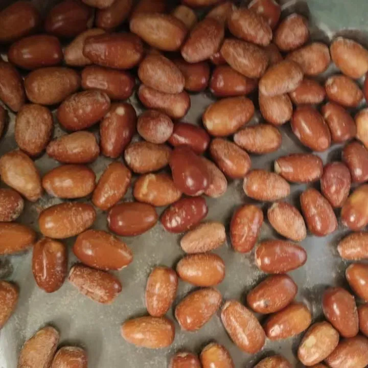 jgda和田沙枣  和田发货