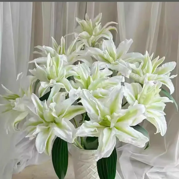 【艾莎/周长15/17cm】进口重瓣香水百合种球1颗【浓香型】