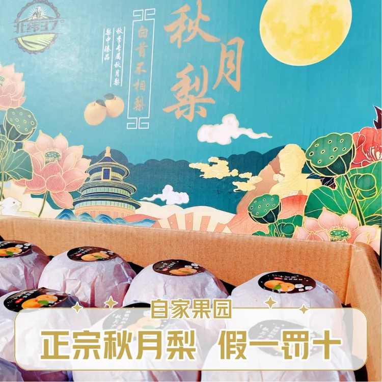 秋月梨山东莱阳新鲜水果现摘现发正宗冰糖梨子当季送礼品箱包邮