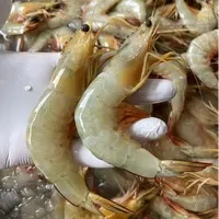 【冰瞳专属】海门本港双拖白苗虾
