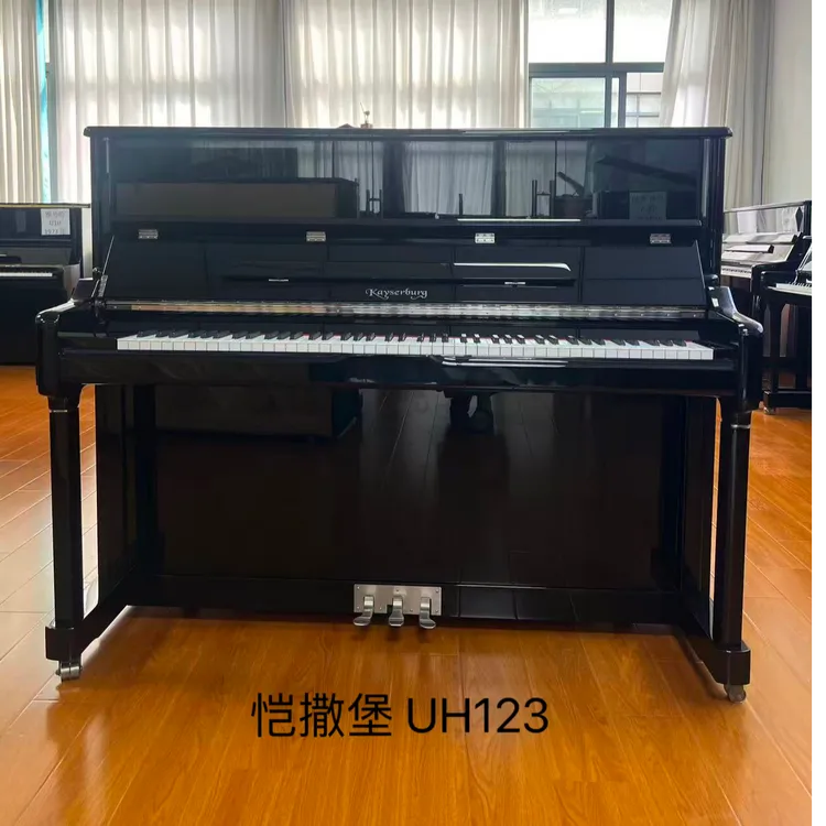  Kayserburg/恺撒堡 立式钢琴家用成人演奏考级适用