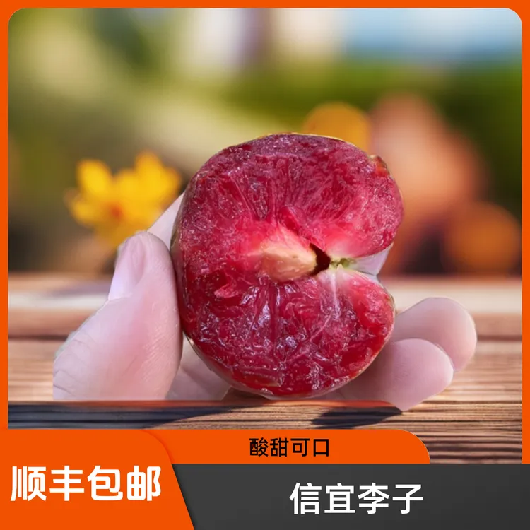 ｛顺丰包邮｝广东信宜钱排三华李酸甜口感孕妇水果红心李子当季热卖