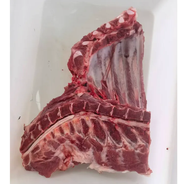 健园土猪排骨带脊骨整根现切农家散养适合红烧