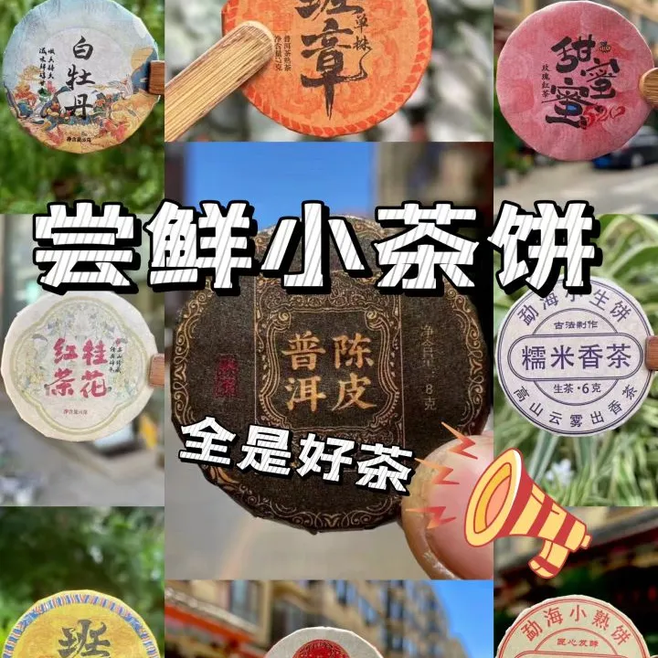 精选小饼茶30种花果茶套装多种品鉴组合口味茶小样大礼包新茶绿茶