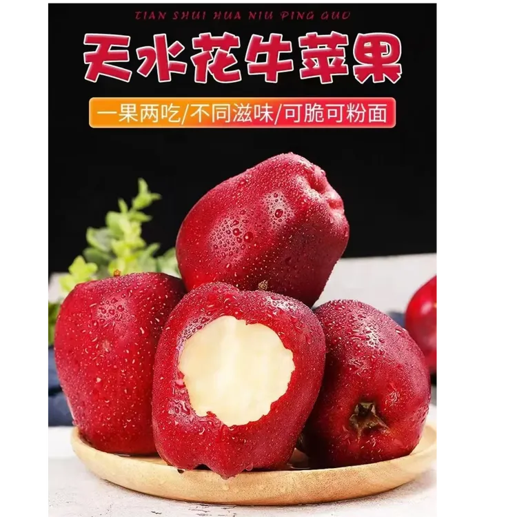 甘肃天水花牛苹果新鲜脆粉两吃红蛇果当季水果