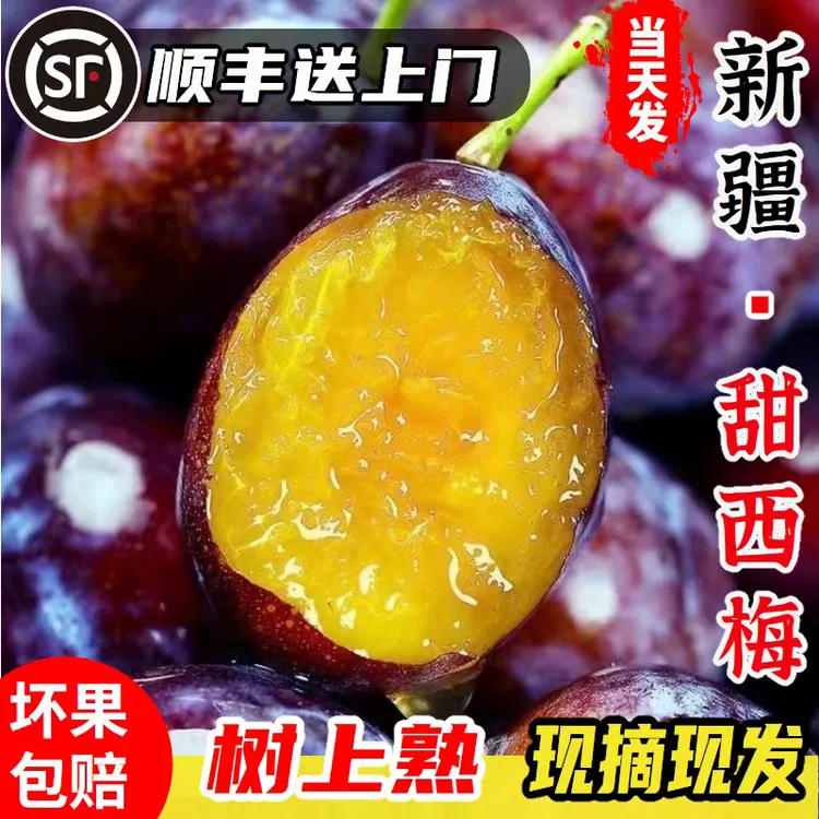 正宗新疆甜西梅应季新鲜水果西梅鲜果蓝蜜大西梅现摘现发顺丰包邮