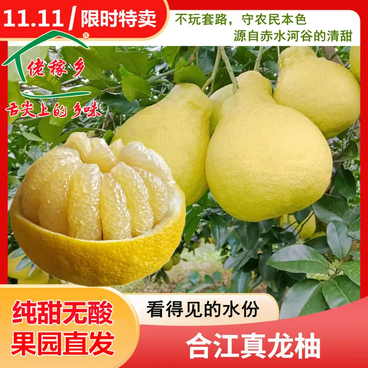 正宗合江真龙柚子果园直发天然种植纯甜非沙田柚新鲜应季包邮水果