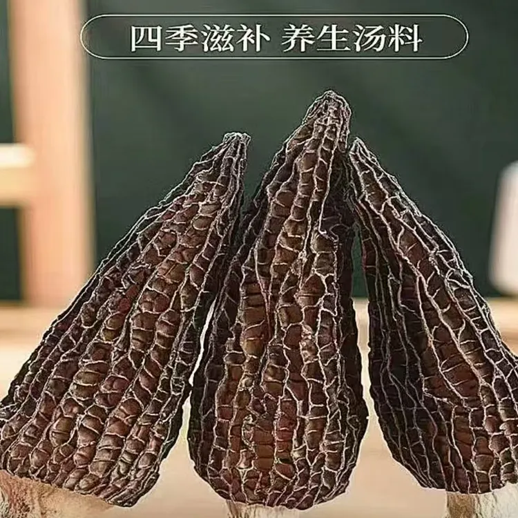 云南高山羊肚箘    