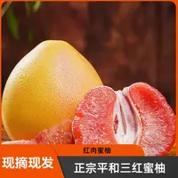 福建漳州平和蜜柚老树三红蜜柚皮薄肉厚带箱5斤2-3个精品特大果