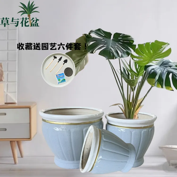 南瓜圆肚花盆金线大肚奶油风陶瓷花盆大口径带托盘大口径吸水透气