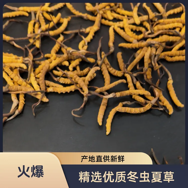 【中国邮政】特大号冬虫夏草 西藏林芝虫草干货滋补养生送礼礼盒