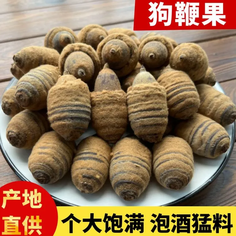 广西野生狗鞭果新货毛毛果猪仔粒50克-500克泡酒男叶菜干货