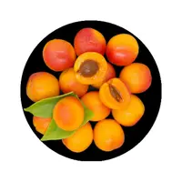 新疆吊干杏400g±20g