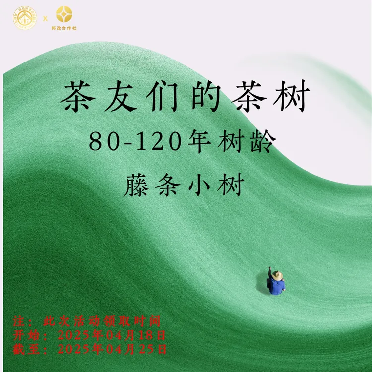 【80-120年树龄】2025年春/茶友们自己茶树上的茶/看清楚详情再下单