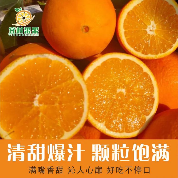 正宗新鲜纽荷尔脐橙5斤新鲜水果鲜甜多汁薄皮爆甜现摘现发-跃