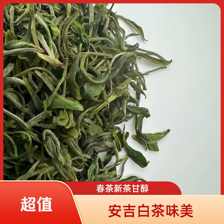 安吉白茶1罐125g手工茶绿茶2025年新茶原产地直发包邮