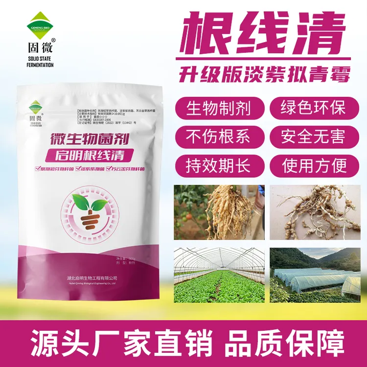 【工厂直销】启明根线清淡紫拟青霉复合菌微生物菌剂