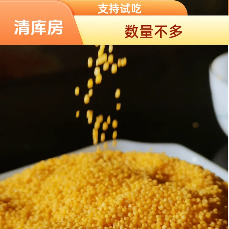 阿鲁小丰清库房 赤峰金苗K1小米  米油浓厚 中秋团圆礼 父母养生