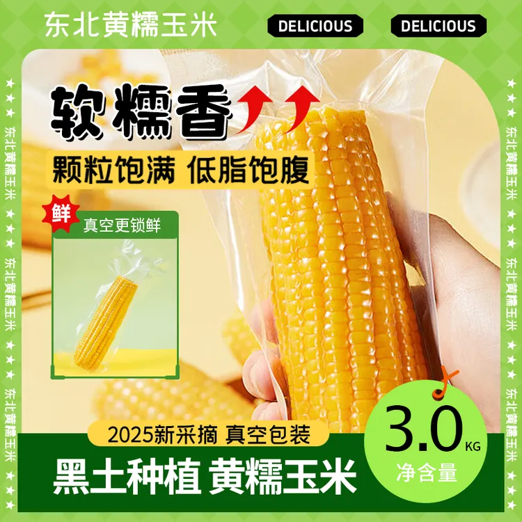 东北味到【25年新东北玉米】黄糯玉米300g*10根/箱（试吃2根）