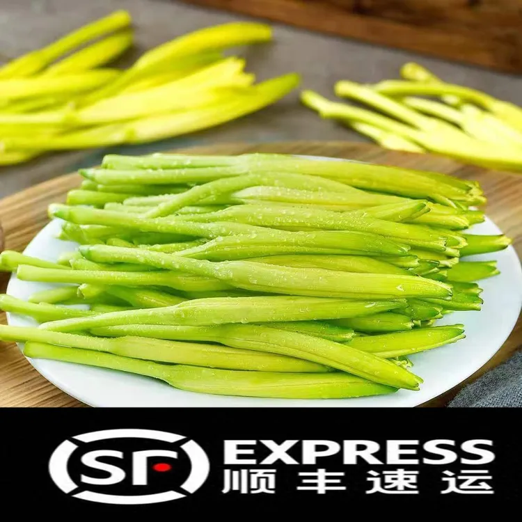 【顺丰包邮】新鲜黄花菜现摘现发金针菜时令蔬菜忘忧草酒店食材