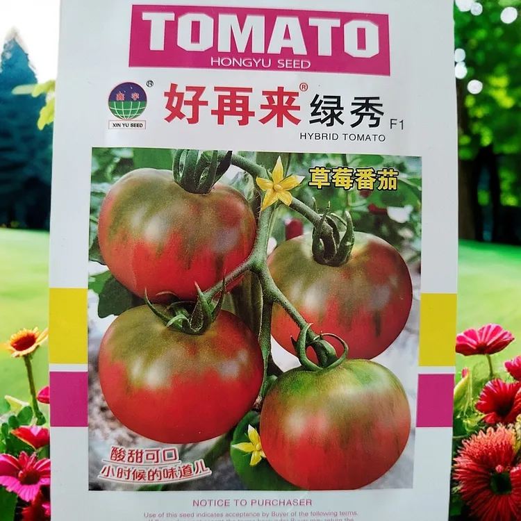 绿秀草莓柿子籽（100粒左右）