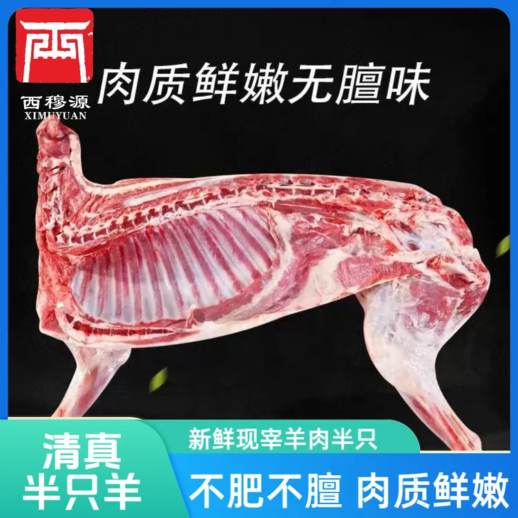甘肃西穆源羊羔肉半只羊清真羊肉新鲜现宰羊肉半只羊肋排带腿广河