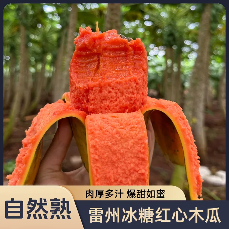 【不甜包赔】正宗雷州冰糖红心木瓜牛奶木瓜树上熟应季热带水果孕妇