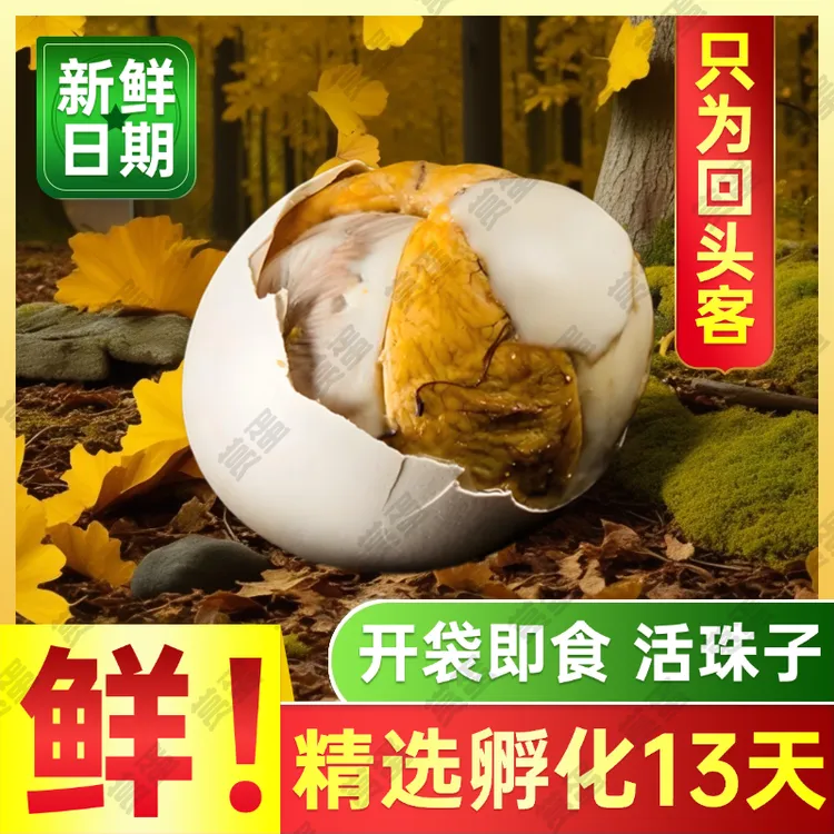 【SD-5】正宗活珠子新鲜孵化13天五香开袋即食香辣味钢化蛋鸡胚蛋
