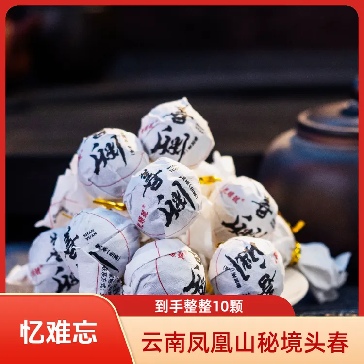 【清凉细腻蜜甜】2024年《善渊》头春头采大树纯料普洱茶生茶龙珠