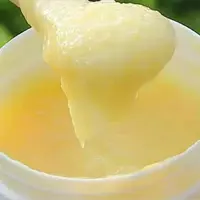 长白山深山黑蜂蜂皇浆纯活性新鲜 蜂皇浆顺丰包邮250g/瓶