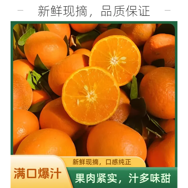 【京东次日达】广西武鸣沃柑3斤