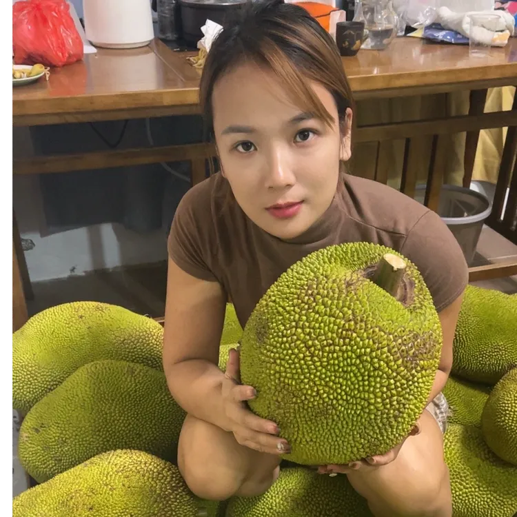 茂名本地老树胭脂红肉菠萝蜜干苞香甜新鲜热带水果现摘现发包邮