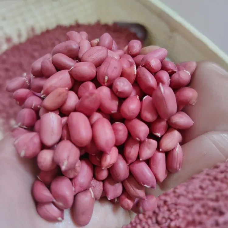 农村情2025农家新红皮花生小粒红皮红衣花生米四粒红花生养胃500g